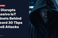US Disrupts Massive IoT Botnets Behind Record 30 Tbps DDoS Attacks