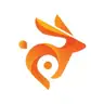 Official logo for Bunny Shield