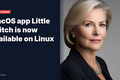 macOS app Little Snitch is now available on Linux