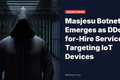 Masjesu Botnet DDoS-for-Hire