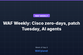 WAF Weekly: Cisco zero-day, record patch Tuesday, DDoS campaign, Sep 4-11